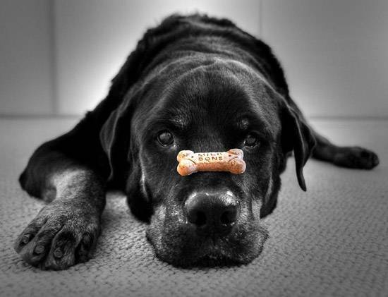 Железная воля за 10 дней. Легкий способ - Приходьк_0.jpg